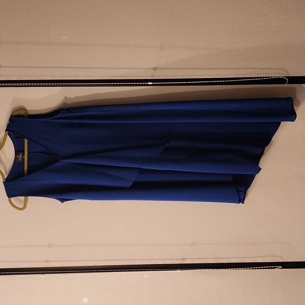 Adrianna Papell blue dress size 14W
